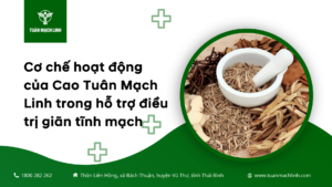 Cơ chế hoạt động của Cao Tuân Mạch Linh trong hỗ trợ điều trị giãn tĩnh mạch