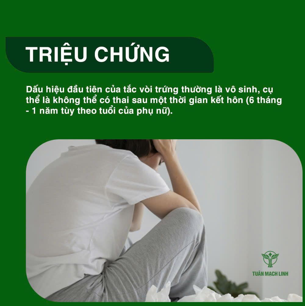 Tắc vòi trứng là gì? Nguyên nhân, triệu chứng, điều trị và cách phòng ngừa