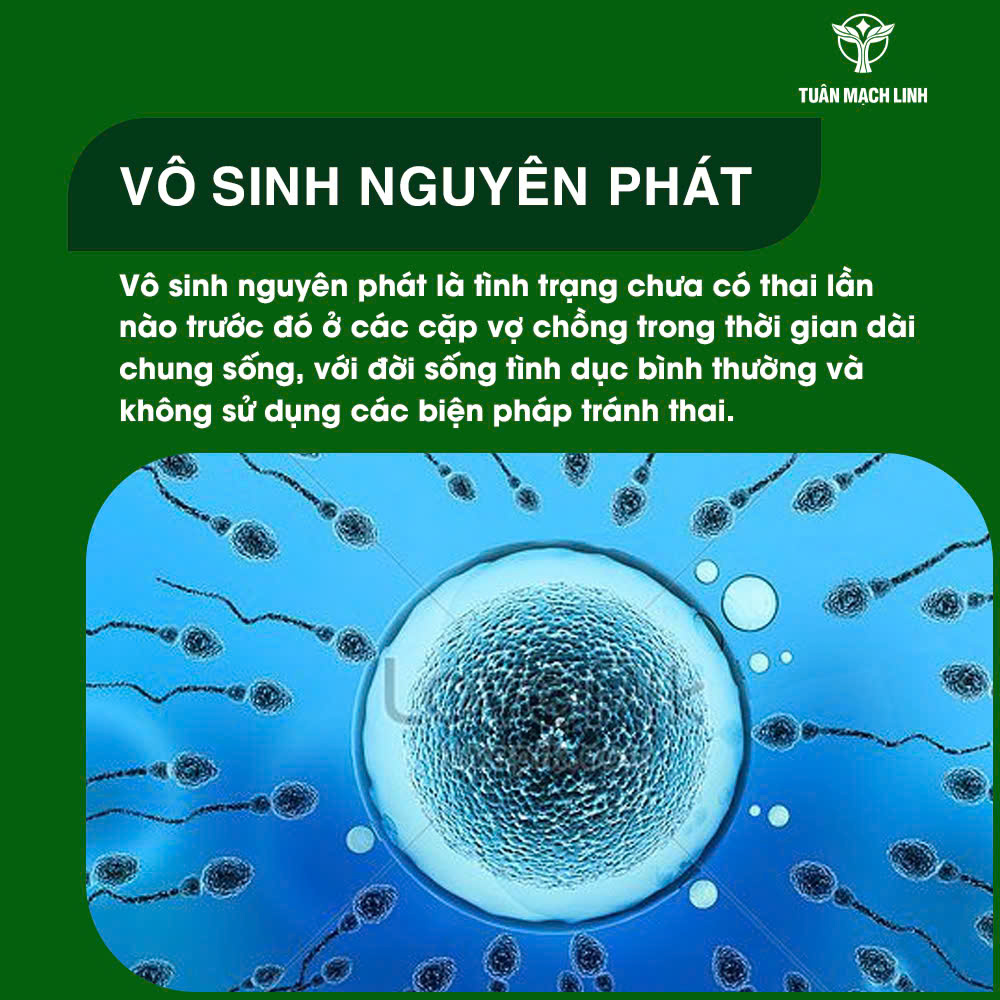 Vô sinh nguyên phát là gì?