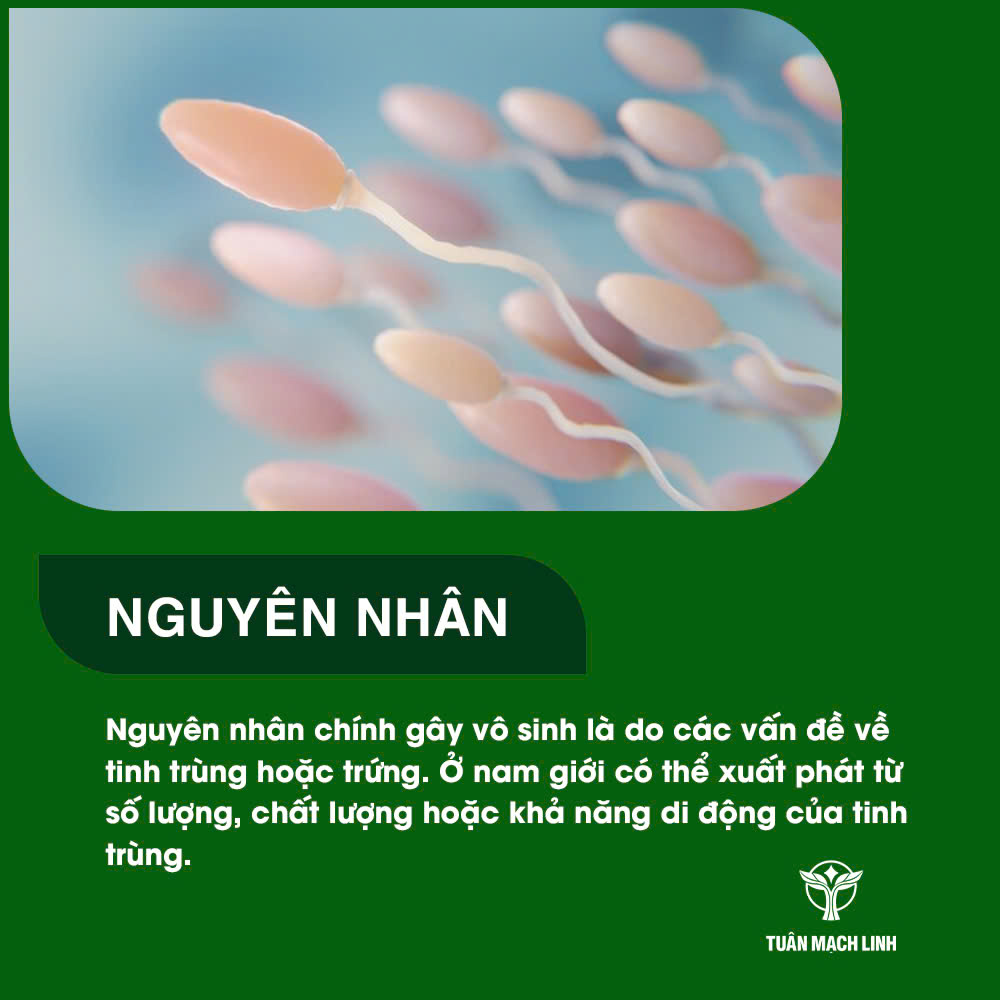 Nguyên nhân gây vô sinh nguyên phát